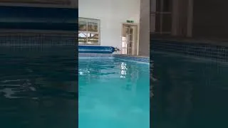 Thumbnail: Swimming underwater (recorded with a waterproof case)
