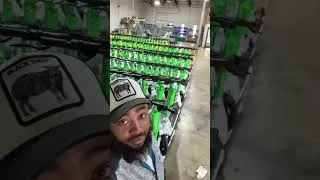 Thumbnail: Next up! Fresh out the box 📦 #electricscooters #work #lime #earningmoney #makingmoney #limescooters