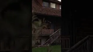 Thumbnail: Cozy Mountain Days With Family 🤍 #mountains #slowliving #asmr #cabinlife #mountainview #carpathians