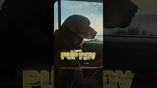 Thumbnail: Surf’s up? Surf’s pup. 🤙 | Lincoln