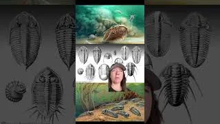 Thumbnail: the OG bugs