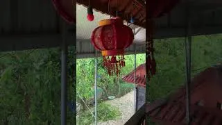 Thumbnail: #storm #rainstorms #stormyrain #rainstormambience  #relax