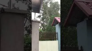 Thumbnail: Rain on tin roof #relax #rainoundforsleep #rainontinroof #rainsounds #storm #rainstorm #thundersound