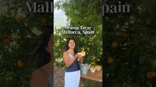 Thumbnail: MUST VISIT ORANGE FARM IN MALLORCA, SPAIN 🍊🇪🇸 | 📍Ecovinyassa