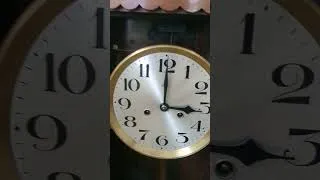 Thumbnail: Saying Bye to my HAC Alpina box clock