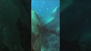 Thumbnail: What’s Inside This Sunken Plane? (Aruba Wreck Dive) ✈️🌊
