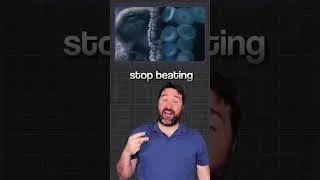 Thumbnail: Creepy science Facts