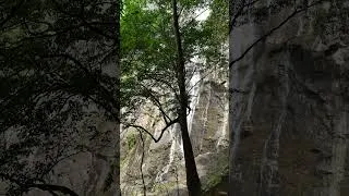 Thumbnail: Mountain Waterfall and Birds Singing, Nature’s Melody for Relaxation #forestsounds #relaxingsounds