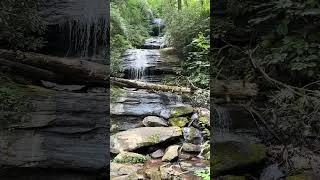 Thumbnail: Natural white noise #nature #calmnessinmotion #ambientnaturesounds #naturalwhitenoise