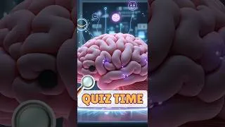 Thumbnail: The Human Body for Kids | Quick Quiz