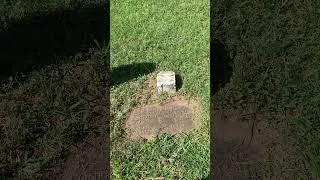 Thumbnail: Grave Spotlight: The Grave of Private Henry Long