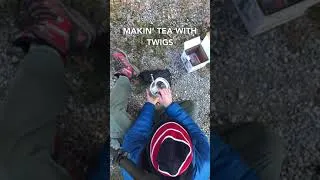 Thumbnail: Solo Stove Test Run (Makin Tea w/ Twigs) #Shorts