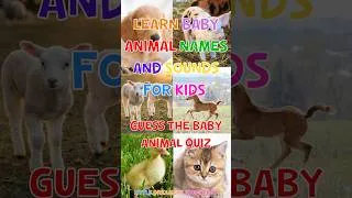 Thumbnail: Learn Baby Animal Names And Sounds For Kids 🐶🐱 #shorts
