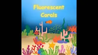 Thumbnail: Nature’s Neon Lights: Fluorescent Corals!