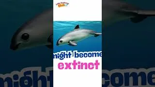 Thumbnail: You’ll NEVER See These Animals in Real Life (Part 3)