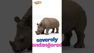 Thumbnail: The RAREST Animals on Earth (Part 2)