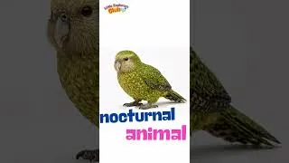 Thumbnail: You’ll NEVER See These Animals in Real Life 😮 - Part 1