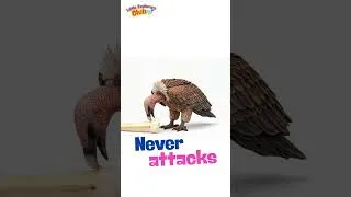 Thumbnail: Scary Animals That Are Actually Gentle  #animals