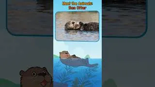 Thumbnail: Why Do Sea Otters Sleep Wrapped in Kelp? 🦦 | Meet the Adorable Sea Otter | Little Fox #Shorts