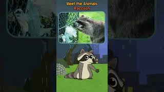Thumbnail: Why Do Raccoons Wear Masks? 🦝 | Meet the Animals | #shorts