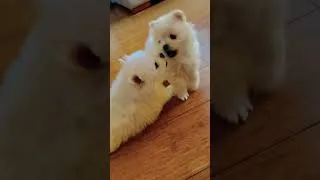 Thumbnail: We’ve got each other