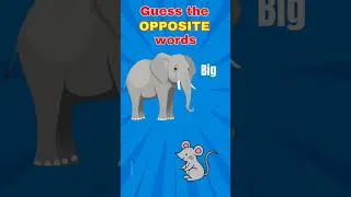 Thumbnail: "Opposite Challenge: Guess the Antonym!"