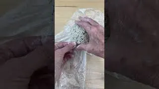 Thumbnail: Slab and Coil Bowl Easy! #pottery #handbuiltpottery