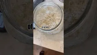 Thumbnail: Potato flake sourdough cinnamon roll dough in a stand mixer