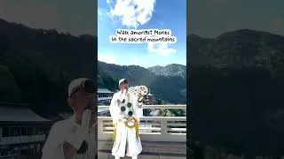 Thumbnail: Shrines, Waterfalls, and Coastlines: A Weekend in Wakayama - LIVE JAPAN