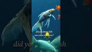 Thumbnail: Did you know #fish can swim backwards?