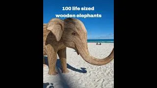 Thumbnail: The Great Elephant Migration Miami #miamibeach #elephants  #conservation #miami @LiveLifeNow57
