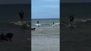 Thumbnail: Catching party waves in Maui #shorts #surf #subscribe #waves #ocean #beach #music #fun #beachlife
