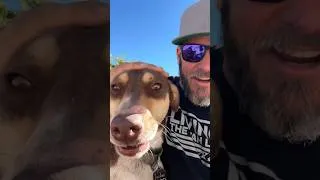 Thumbnail: I found a dog!  Here’s an update. #livingthevanlife #vanlife