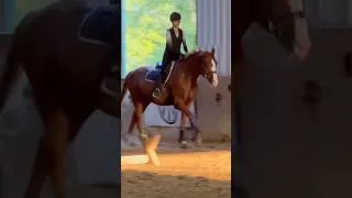Thumbnail: #horse #equestrianjourney #equestrian #equine #hunterjumper