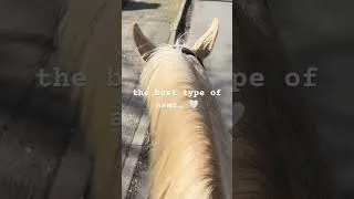 Thumbnail: #asmr #horseasmr #horse #equestrian