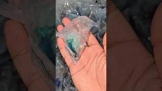 Thumbnail: Betta Shipment Landing #shortsvideo #fishshorts #bettafish #importedbetta