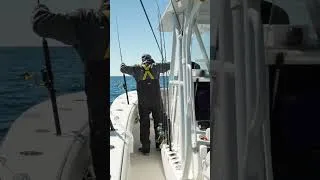 Thumbnail: Put in the laps and do the dance - that's a nice kingfish... #floridakeys #fishing #pennfishing