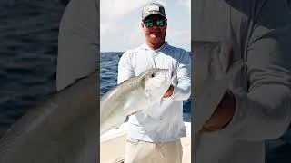 Thumbnail: This Is Why We Love Deep Dropping