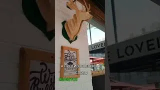 Thumbnail: INDEPENDENCE