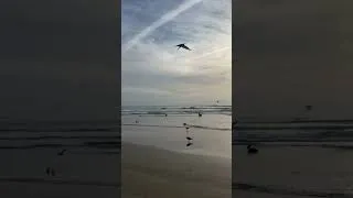 Thumbnail: Never give up! #travel #beach #thewanderinglondoner #londonertourguide #londoners #fyp #experience