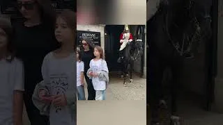 Thumbnail: Horse Guard Can’t Hold His Laugh After Awkward Family Photo Moment
