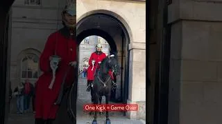 Thumbnail: Idiot Drunk Walks Behind Military Horses – Crowd Frozen