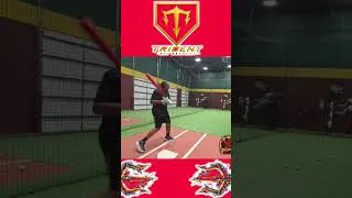 Thumbnail: BEST WOOD BAT ON THE MARKET TRIDENT WOOD BAT? #baseball #baseballlifestyle #baseballbats #lov3