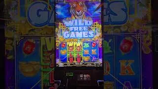 Thumbnail: More wild's free games! Lots of potential! #slotmachinewins #slotmachinelovers #casinotime