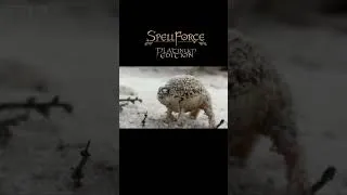 Thumbnail: Angry SpellForce Orc frog #gaming #memes#spellforcetheorderofdawn #orcs  #games#spellforce