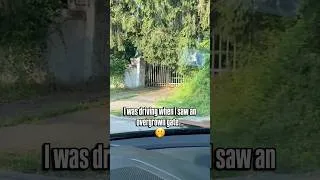Thumbnail: I followed an overgrown driveway.. 🌿