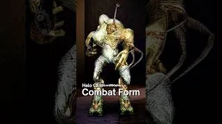 Thumbnail: Halo CE Every Type of Flood (2001)
