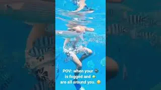 Thumbnail: POV 🐠🤿 #snorkeling #underwater 😂 #shortsfeed
