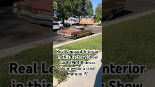 Thumbnail: Real Leopard Skin Interior in this Factory Show Car ! 1964 Pontiac Bonneville Grand Marque IV