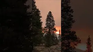 Thumbnail: Colorado Wildfires 2026 | Catch the full episode tomorrow morning #colorado #wildfire #vanlife